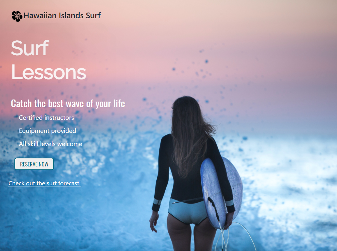 learn to surf project preview